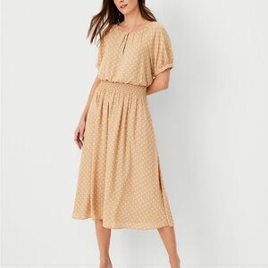 NWT Ann Taylor Smocked Raglan Sleeve Flare Midi Dress Baguette